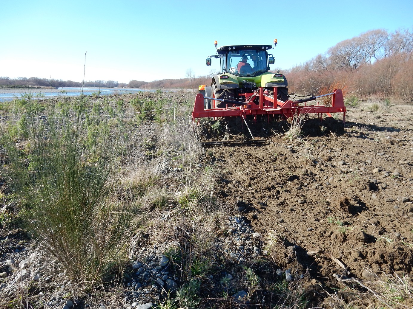 The Mark III tractor mounted ripper uprooting weeds on the Ashley-Rakahuri riverbed