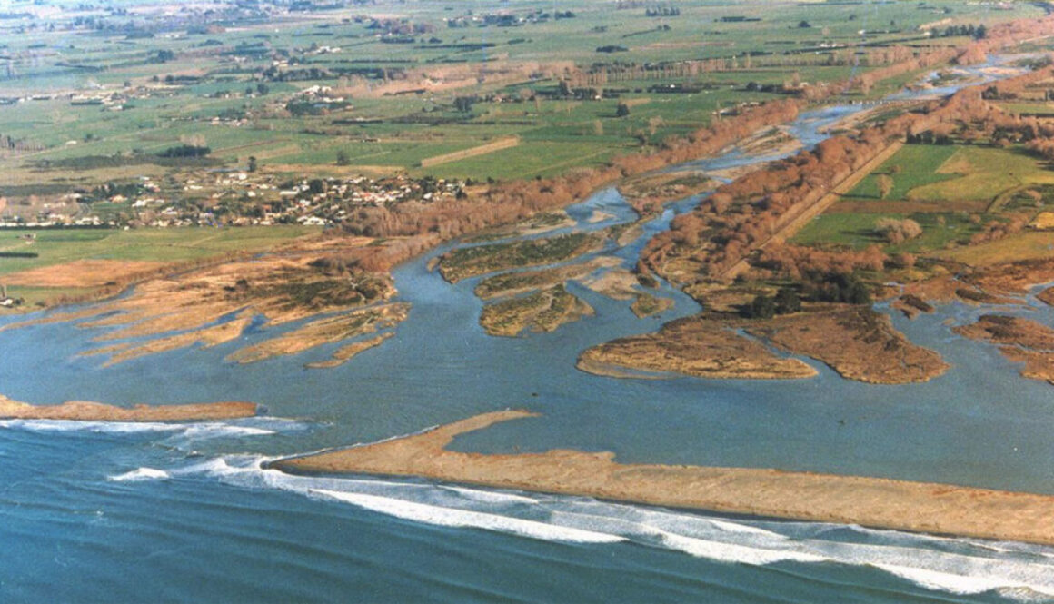 Ashley Estuary