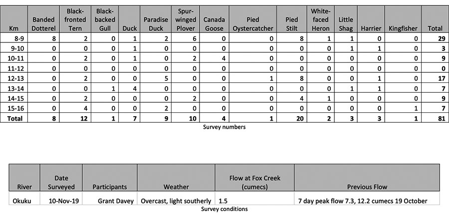 Okuku bird survey tabulation