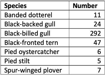 lees valley bird count