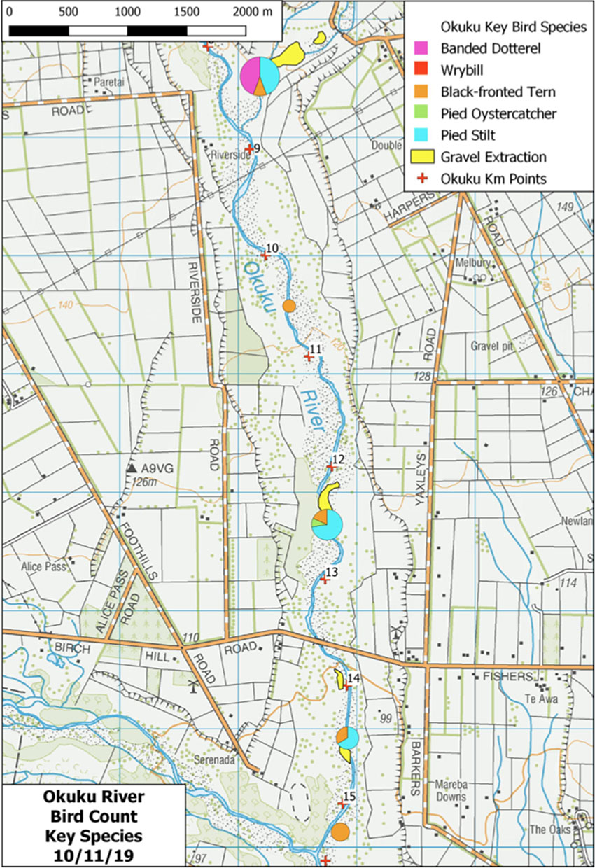 okuku bird survey 2019