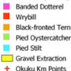 Okuku River bird count