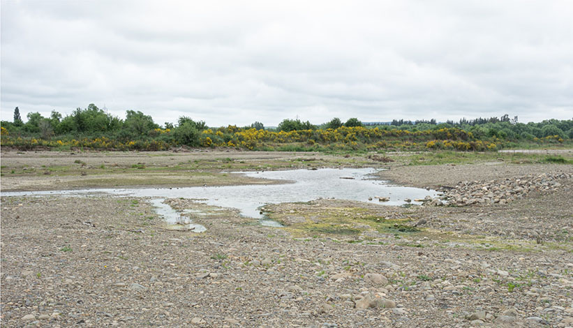 Shallow ponds from gravel extraction, Grey River. 
The title image are shallow ponds, gravel extraction area west of Yaxleys Road.