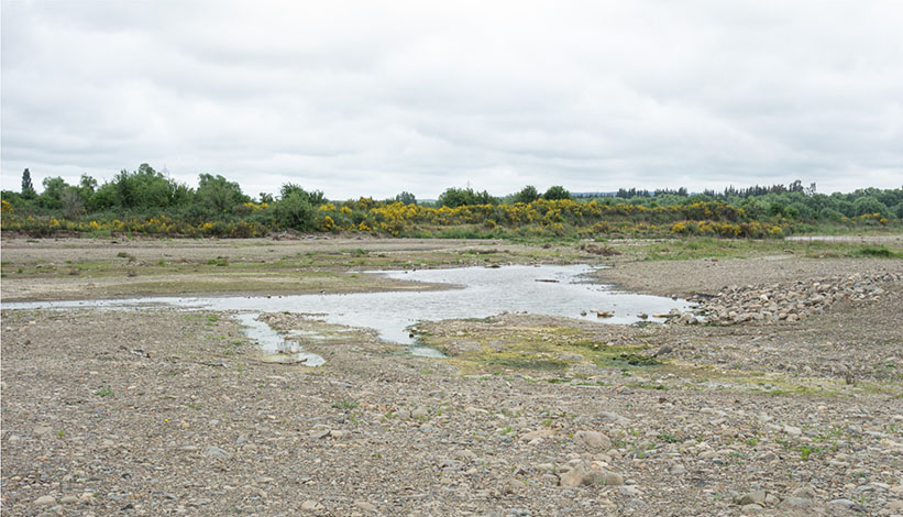 Shallow ponds from gravel extraction, Grey River. The title image are shallow ponds, gravel extraction area west of Yaxleys Road.