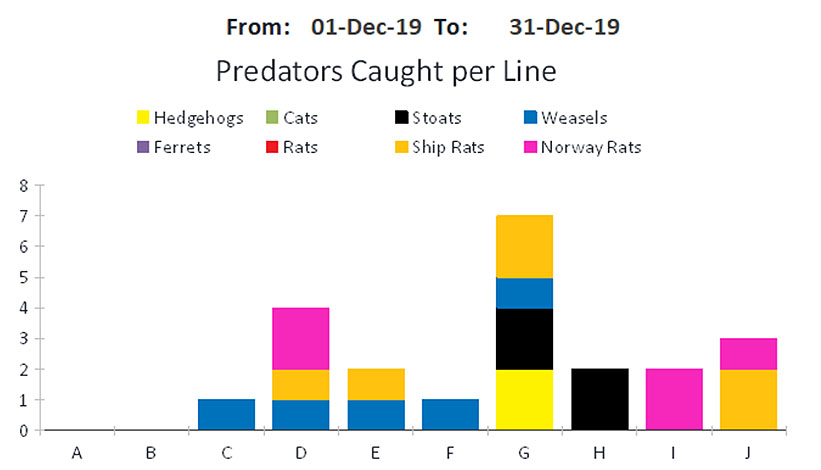 predators eashley estuary 2