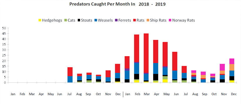 predators per month