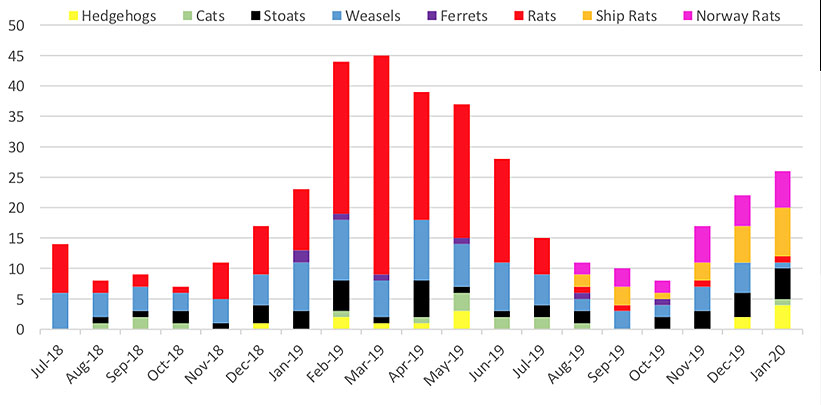 Predators caught per month, July 2018 to January 2020