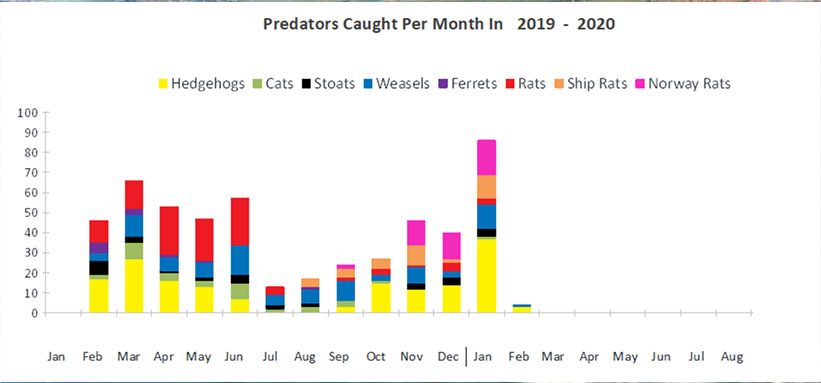 predators per month