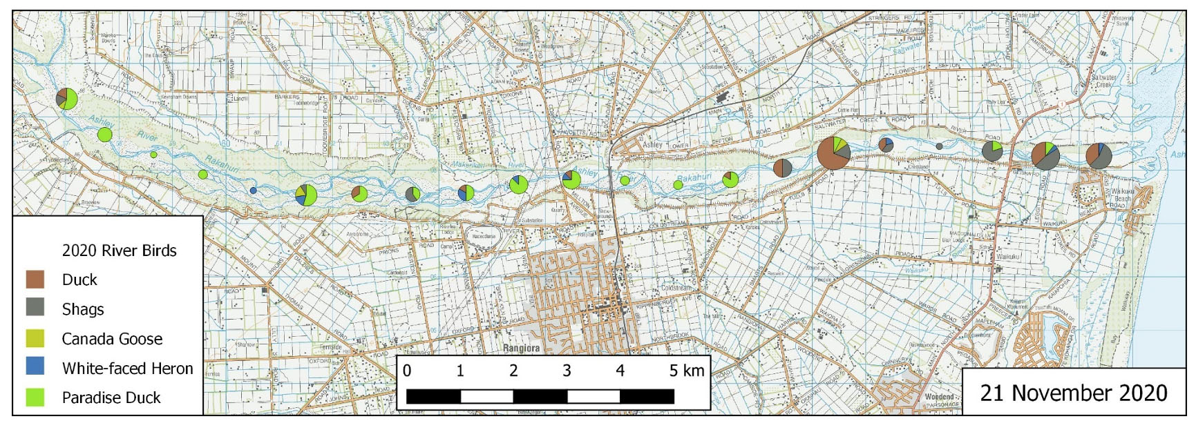 Figure 8. Other river bird locations, 2020