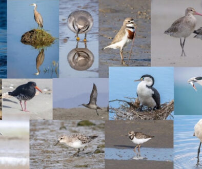 ARRG writing competiton