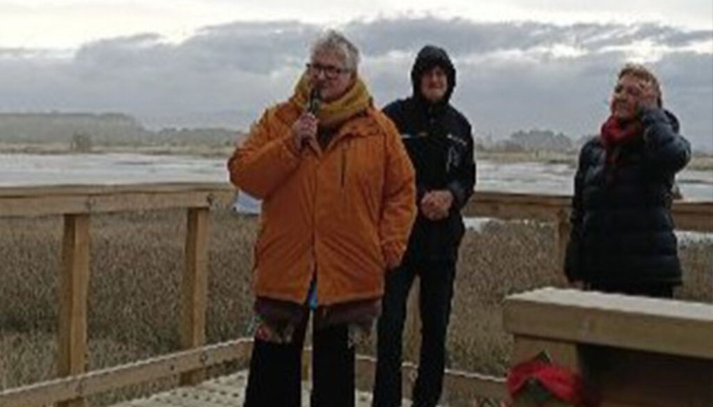 Ashley Estuary viewing platform