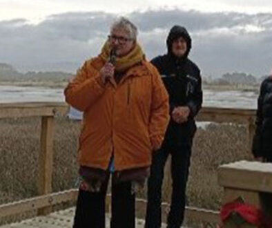 Ashley Estuary viewing platform